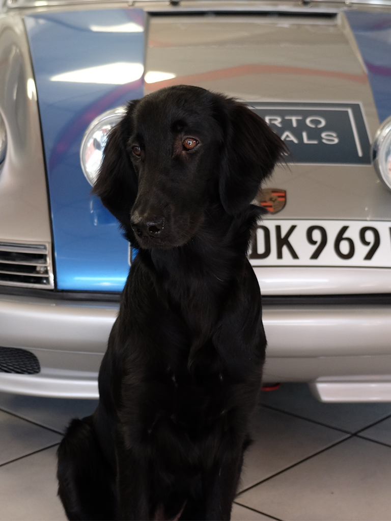 Dynamic Content Image